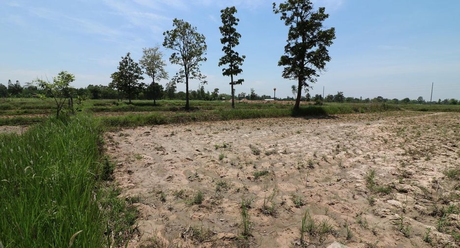 For sale land in Nong Han, Udon Thani