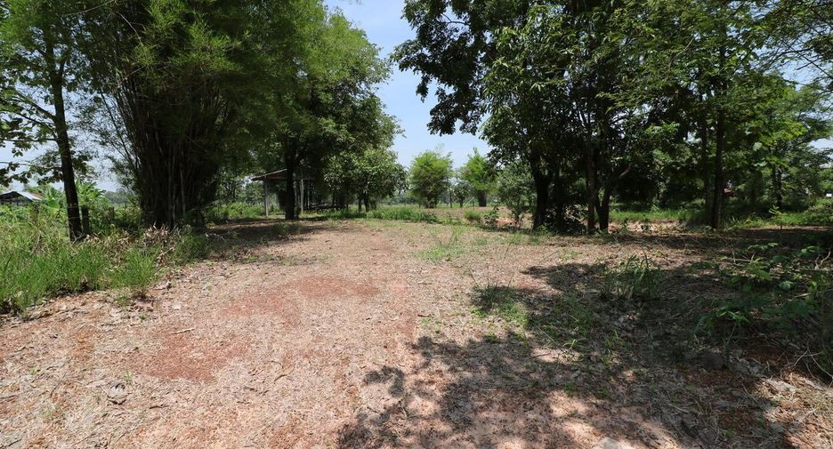 For sale land in Nong Han, Udon Thani
