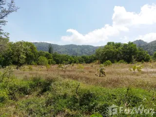 Grundstück zum Kauf in Kathu, Phuket