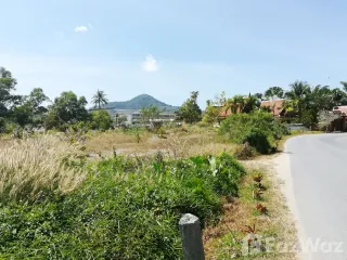 Grundstück zum Kauf in Kathu, Phuket
