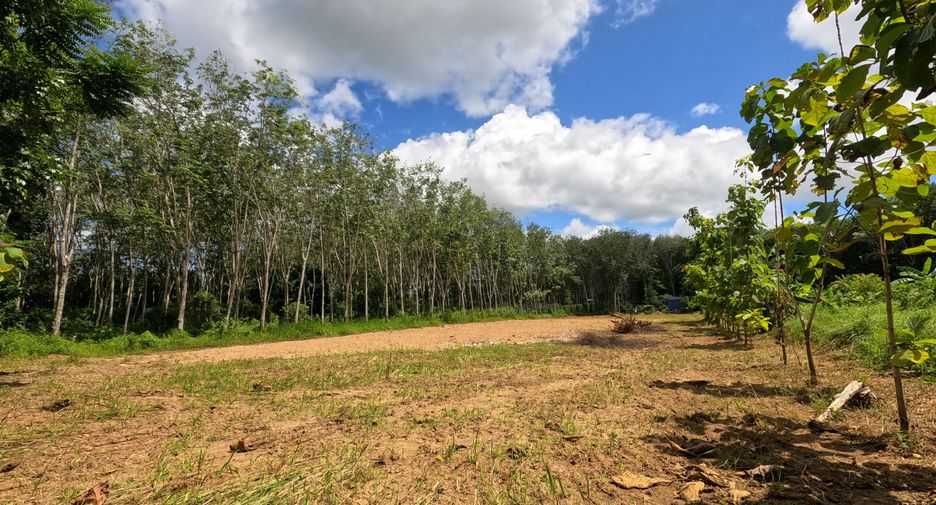 For sale 4 ベッドルーム villa in Thalang, Phuket