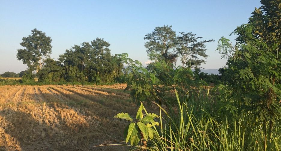 For sale land in Phan, Chiang Rai