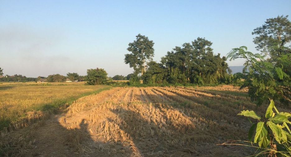For sale land in Phan, Chiang Rai