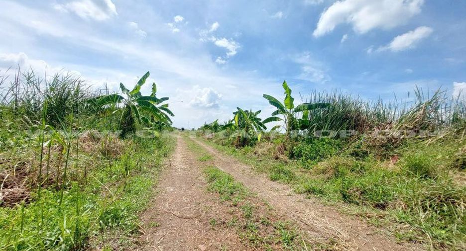 出售 土地 在 Lat Lum Kaeo, Pathum Thani