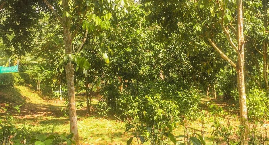 Haus zum Kauf mit 4 Zimmer in Mueang Chumphon, Chumphon