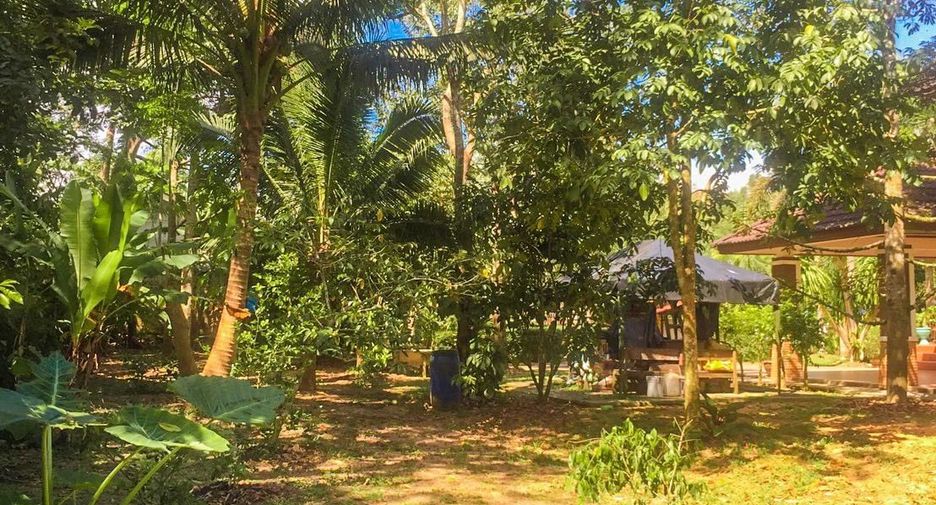 出售 4 卧室 独立屋 在 Mueang Chumphon, Chumphon
