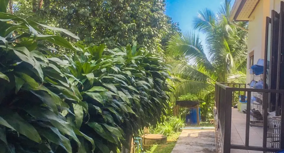 出售 4 卧室 独立屋 在 Mueang Chumphon, Chumphon
