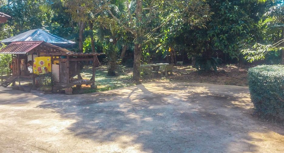 ขาย 4 ห้องนอน บ้านเดี่ยว ใน เมืองชุมพร, ชุมพร