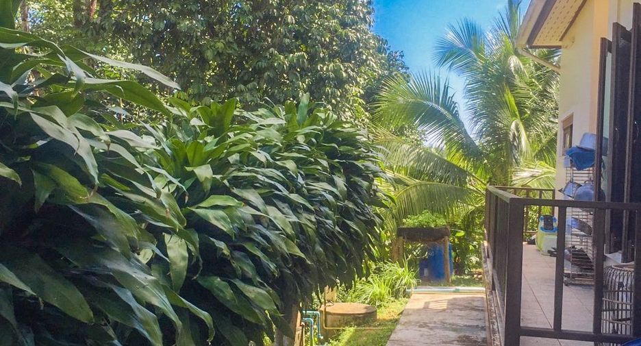 ขาย 4 ห้องนอน บ้านเดี่ยว ใน เมืองชุมพร, ชุมพร