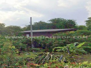 出售 土地 在 Bang Mun Nak, Phichit