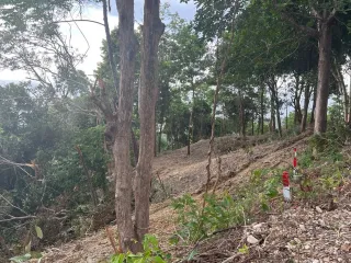 À vendre terrain à Ko Lanta, Krabi