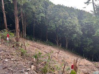 À vendre terrain à Ko Lanta, Krabi