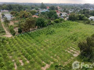 出售 土地 在 Bang Lamung, Chon Buri