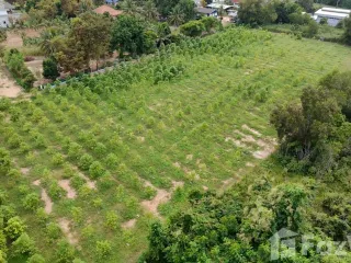 出售 土地 在 Bang Lamung, Chon Buri