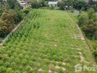出售 土地 在 Bang Lamung, Chon Buri