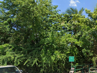 Terreno en venta en Phra Pradaeng, Samut Prakan