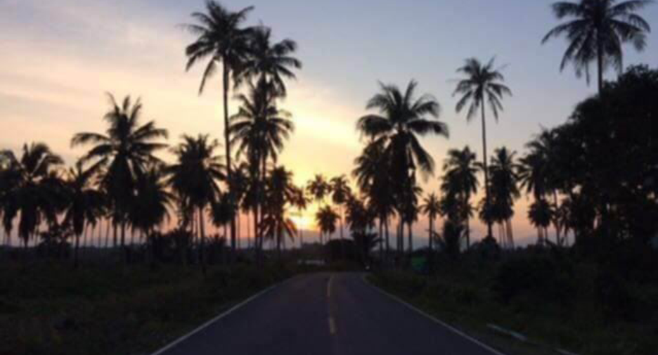 For sale land in Tha Sala, Nakhon Si Thammarat