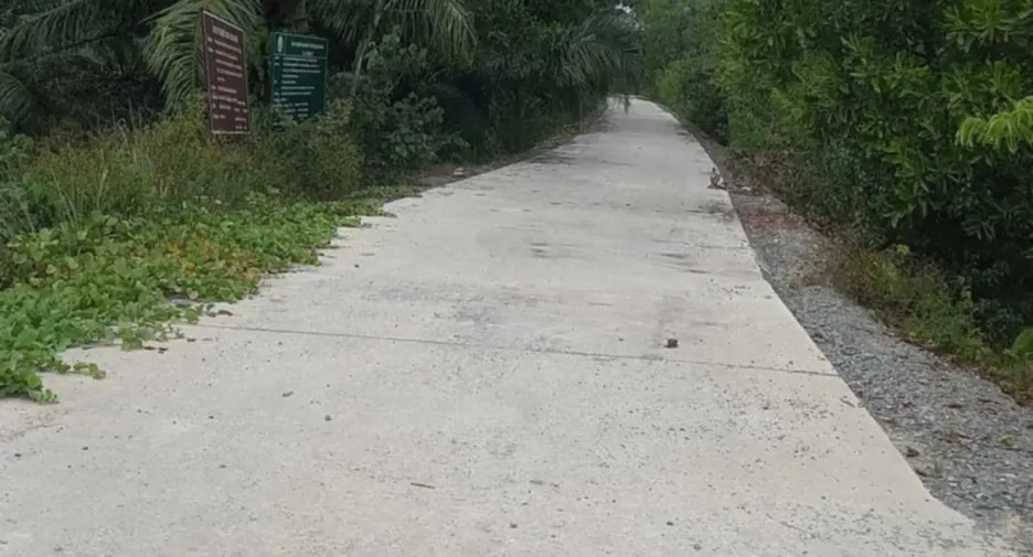 For sale land in Tha Sala, Nakhon Si Thammarat