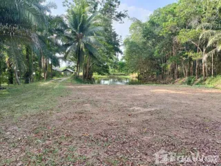 For sale land in Tha Sala, Nakhon Si Thammarat