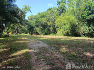 For sale land in Tha Sala, Nakhon Si Thammarat