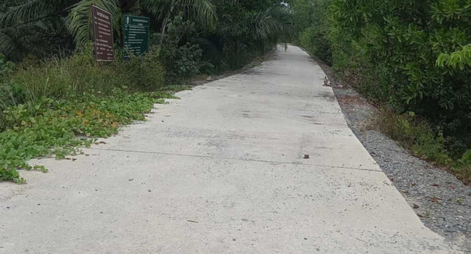 For sale land in Tha Sala, Nakhon Si Thammarat