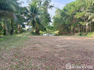 For sale land in Tha Sala, Nakhon Si Thammarat