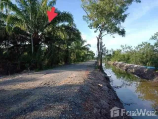For sale land in Tha Sala, Nakhon Si Thammarat