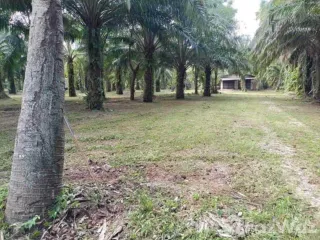 For sale land in Tha Sala, Nakhon Si Thammarat