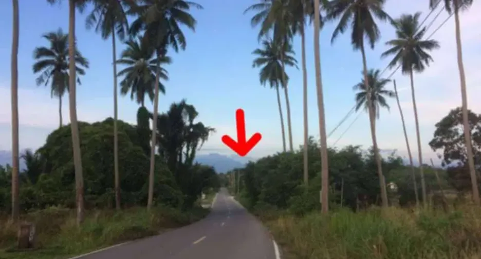 For sale land in Tha Sala, Nakhon Si Thammarat