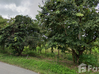 À vendre terrain à Mueang Phayao, Phayao