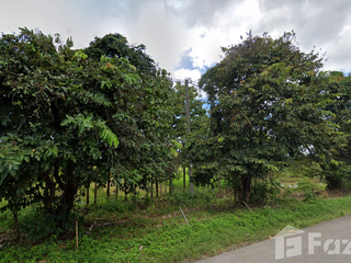 À vendre terrain à Mueang Phayao, Phayao