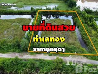 For sale land in Wang Noi, Phra Nakhon Si Ayutthaya