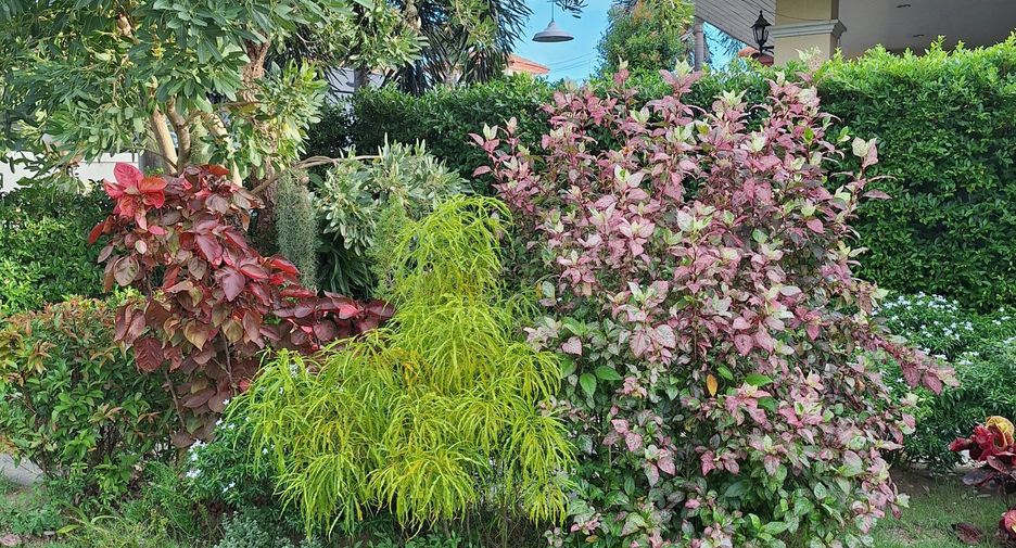 For sale 3 bedrooms house in Bang Lamung, Chonburi
