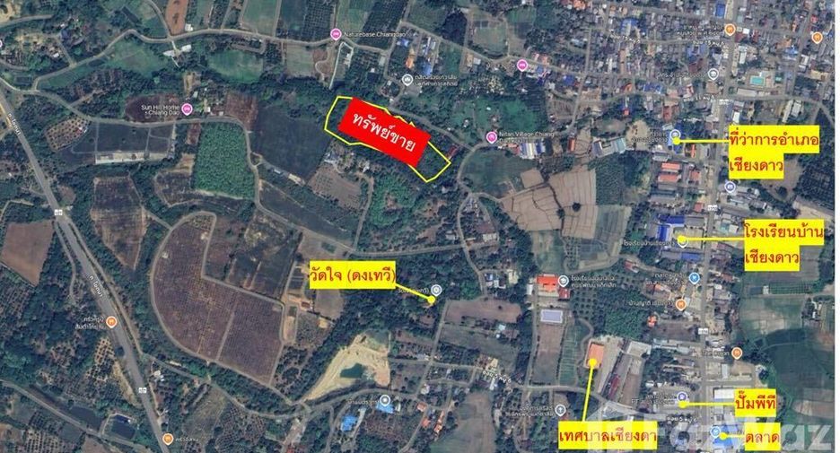 For sale land in Chiang Dao, Chiang Mai