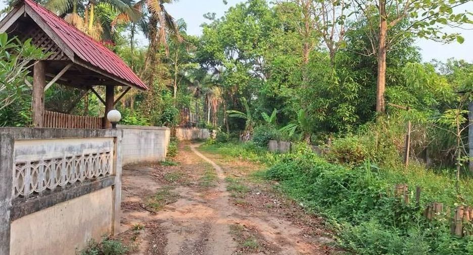 For sale land in Chiang Dao, Chiang Mai