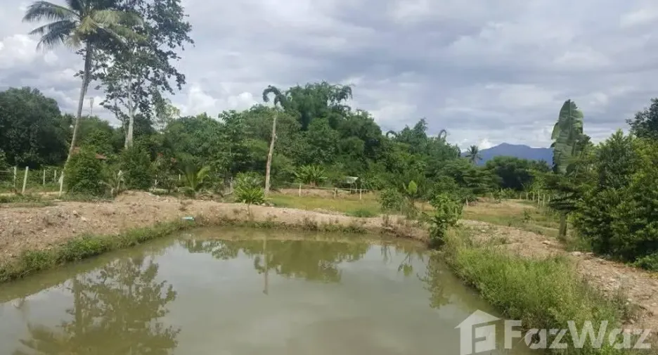 Grundstück zum Kauf in Chiang Dao, Chiang Mai