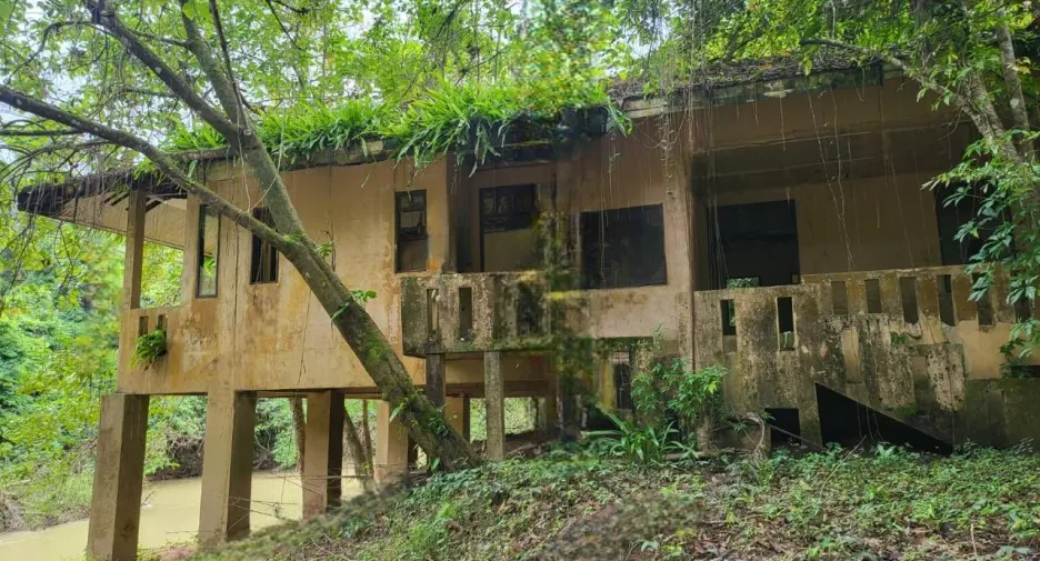 For sale land in Phanom, Surat Thani