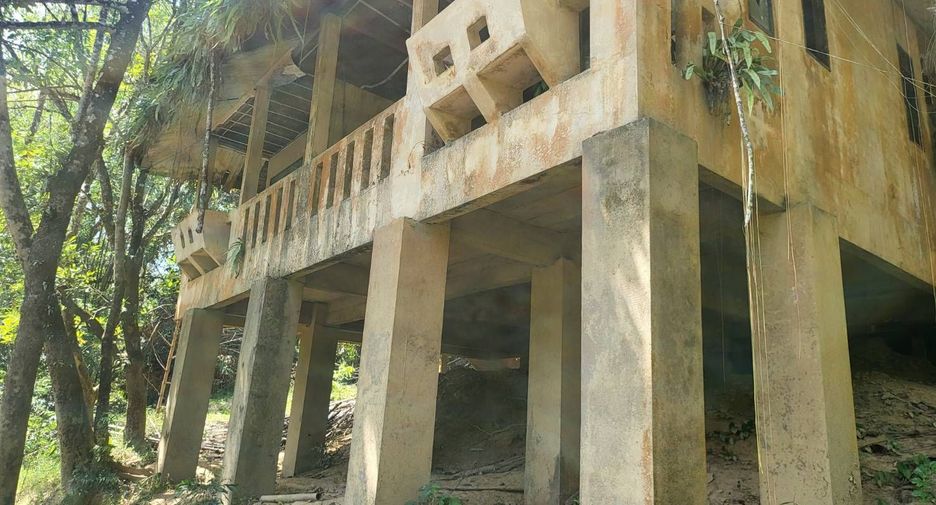 For sale land in Phanom, Surat Thani