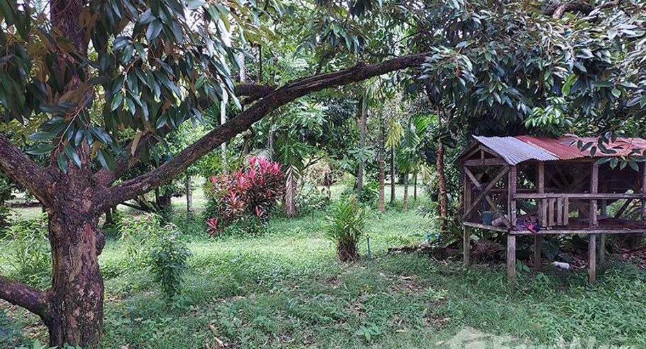For sale land in Klaeng, Rayong