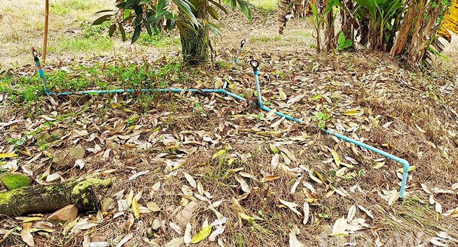 For sale land in Klaeng, Rayong