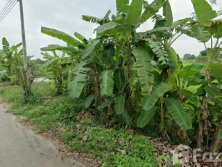 For sale land in Bang Saray, Pattaya