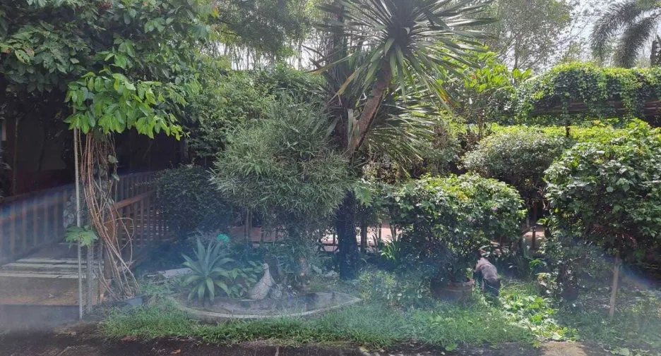 For rent 2 bedrooms house in Thalang, Phuket