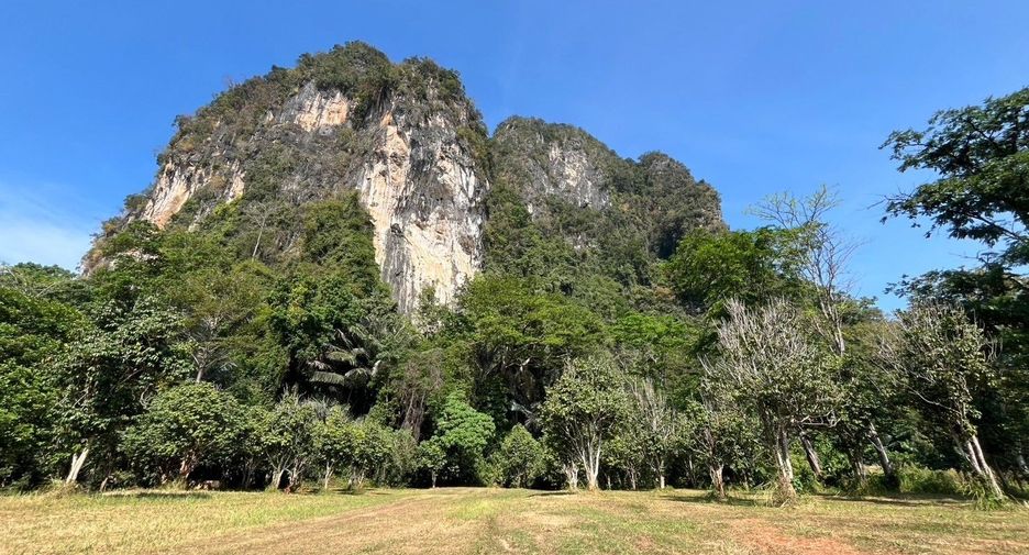 For sale 3 bedrooms retail Space in Mueang Krabi, Krabi