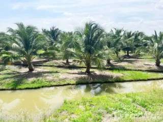 For sale land in Mueang Ang Thong, Ang Thong