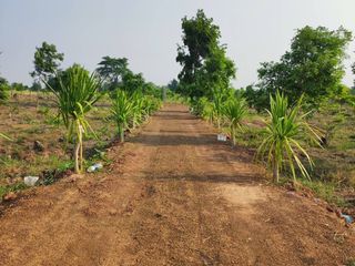 Продажа Участок в Phu Wiang, Кхонкен