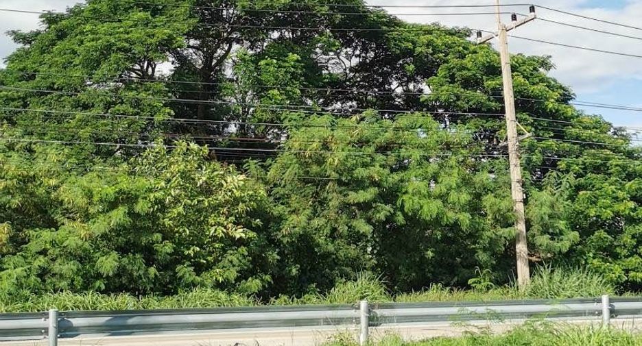 For sale land in Sao Hai, Saraburi