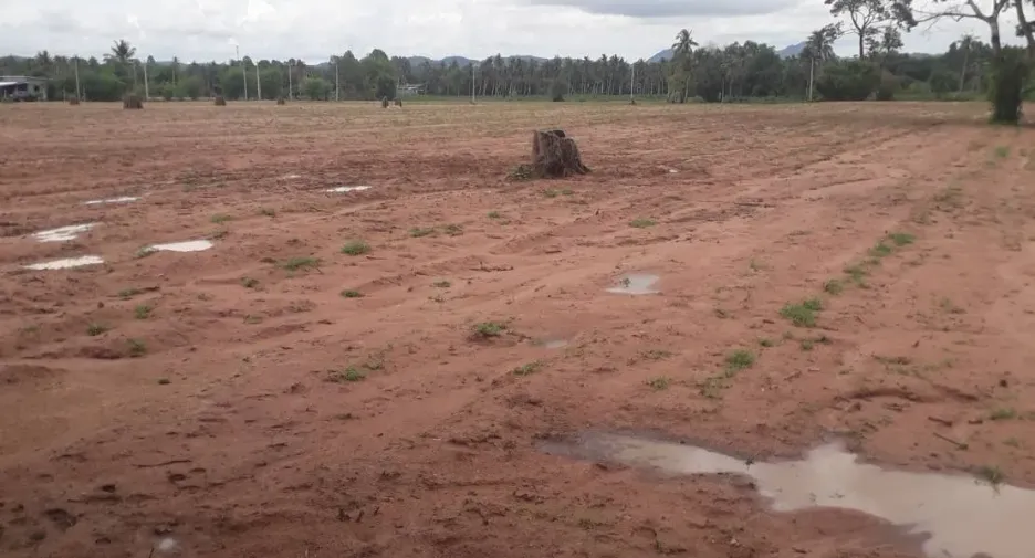 For sale land in Bang Lamung, Chonburi