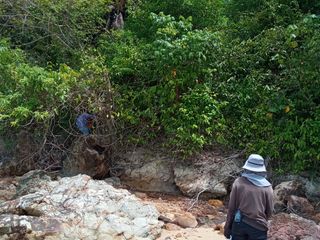 For sale land in Ko Lanta, Krabi