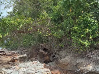 For sale land in Ko Lanta, Krabi
