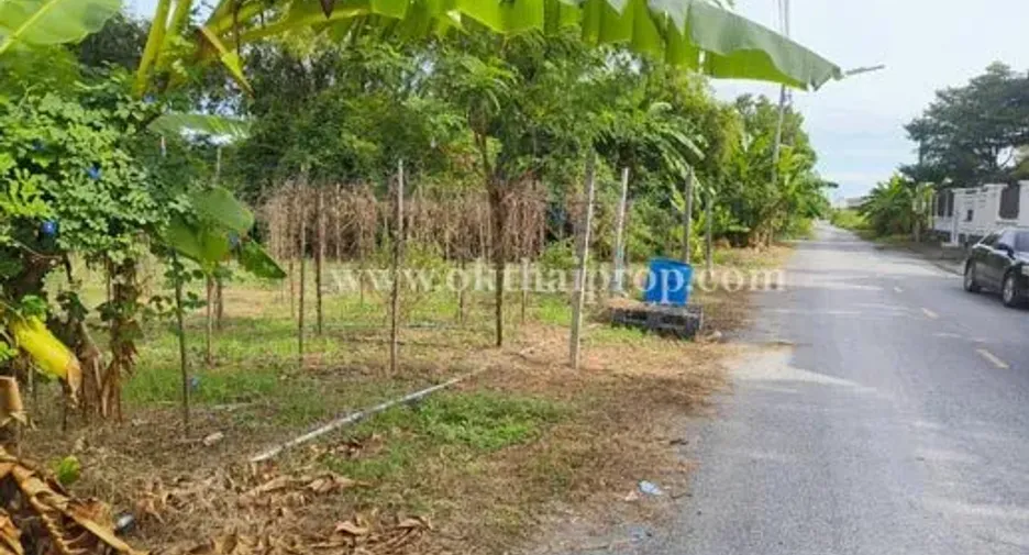 ขาย ที่ดิน ใน พุทธมณฑล, นครปฐม